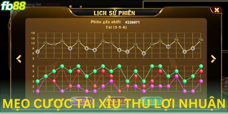 Tổng hợp mẹo đặt cược tài xỉu để thu lợi lớn